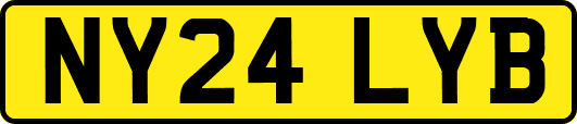 NY24LYB