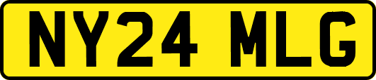 NY24MLG