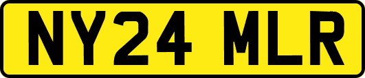 NY24MLR