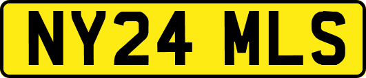 NY24MLS