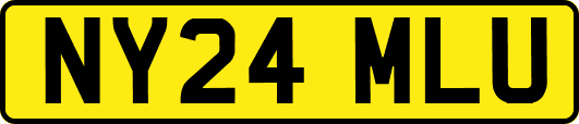 NY24MLU