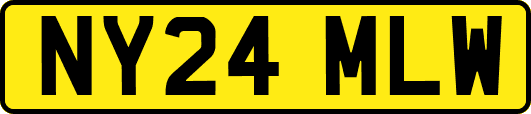 NY24MLW
