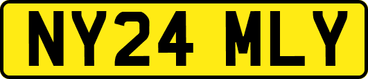 NY24MLY