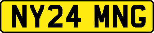 NY24MNG