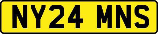 NY24MNS