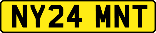 NY24MNT
