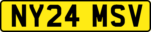 NY24MSV