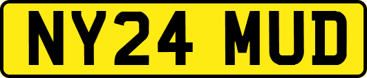 NY24MUD