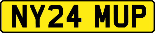 NY24MUP