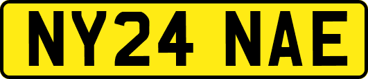 NY24NAE