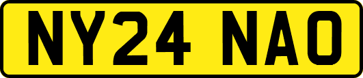 NY24NAO