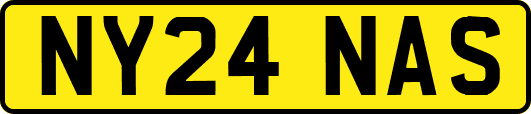 NY24NAS