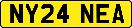 NY24NEA