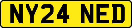NY24NED