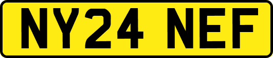 NY24NEF