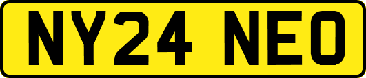 NY24NEO