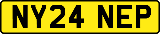 NY24NEP