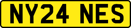 NY24NES