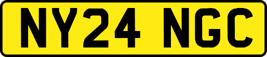 NY24NGC