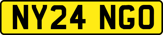 NY24NGO