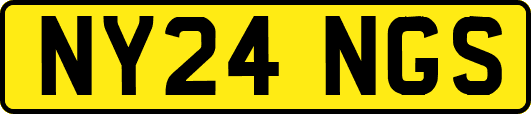 NY24NGS