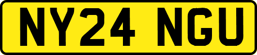 NY24NGU