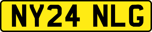 NY24NLG