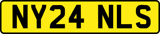 NY24NLS