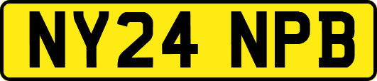 NY24NPB