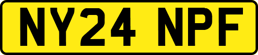 NY24NPF