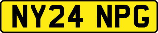 NY24NPG