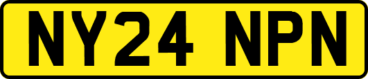 NY24NPN
