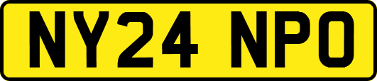 NY24NPO