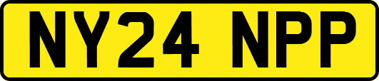 NY24NPP
