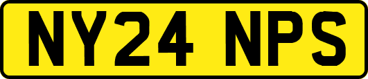 NY24NPS