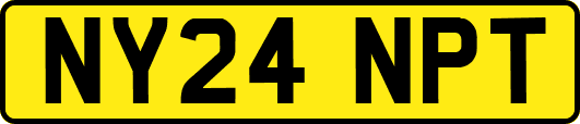 NY24NPT