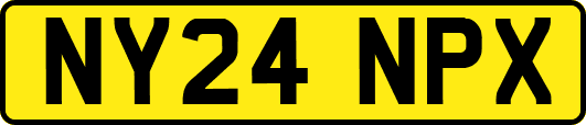 NY24NPX