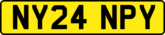 NY24NPY