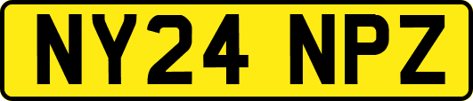 NY24NPZ
