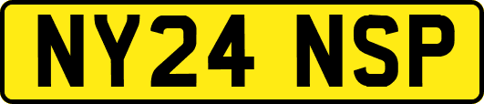 NY24NSP