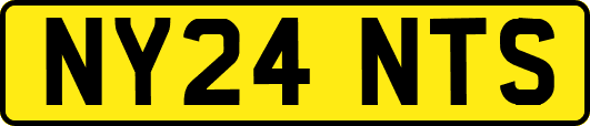 NY24NTS