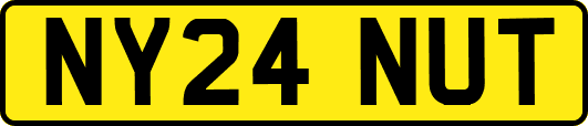 NY24NUT