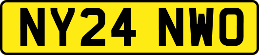 NY24NWO