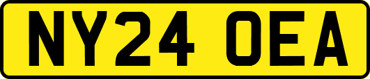 NY24OEA