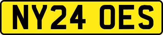 NY24OES