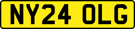 NY24OLG