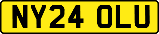 NY24OLU