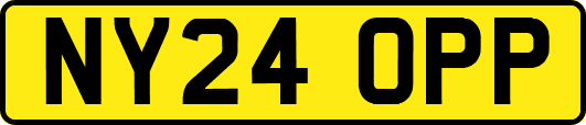 NY24OPP
