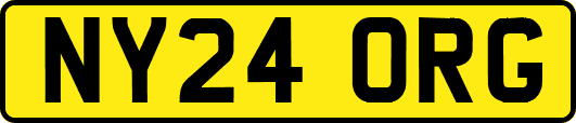 NY24ORG
