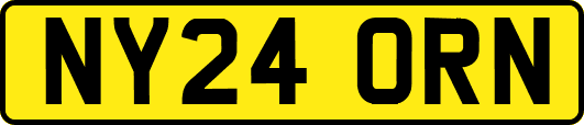 NY24ORN